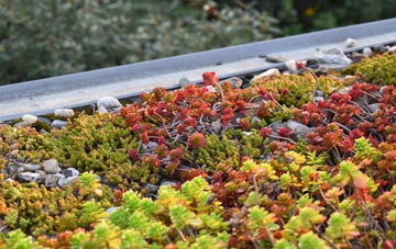 the cost of Raithby By Spilsby green roof installation