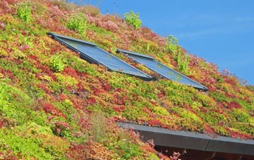 Raithby By Spilsby living roof systems