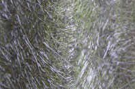 Raithby By Spilsby fibreglass roof work